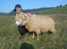 Picture 140