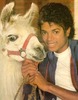 michael_camel
