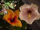 P1290626