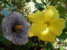 P1290691