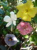 P1290704