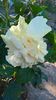 IMG-20160902-WA0002