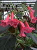 RIMG0117_