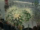 DSC00465