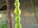 DSC00469