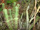 DSC00470