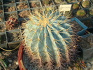 DSC00471