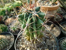 DSC00508