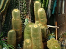 DSC00544