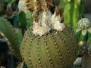 DSC00548