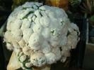 DSC00564