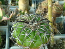 DSC00567