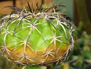 DSC00577