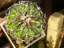 DSC00576