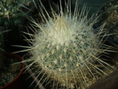 DSC00584