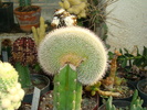 DSC00642