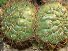 DSC00654