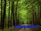 Iulypozici