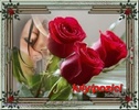 Iulypozici