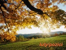 Iulypozici