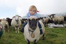 Dragostea fata de animale