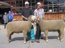 Frumuseti ovine-j65