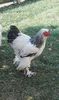 received_1363517783678374