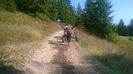 Drum forestier-6k
