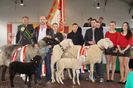 Copii si oitele lor-n65