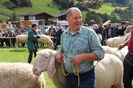 Concurs cu oitele din Tirol-5sj