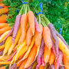 Morcovi Rainbow Mix