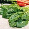 Sfecla-spanac - Spinach Perpetual