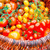 Tomate amestec Summer Sensation Mix1