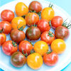 Tomate Artisan Bumblee Bee Mix
