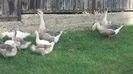IMG-20160914-WA0013