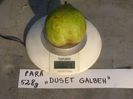 Par Duset galben 6
