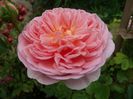 Abraham Darby