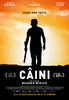 din 23 sep, Caini (2016)