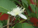 Picture 6896