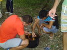 Derby Oancea 091