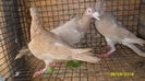 SAM_0476