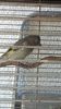 IMG-20160819-WA0007