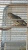 IMG-20160819-WA0009