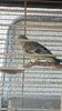 IMG-20160819-WA0010