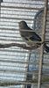 IMG-20160819-WA0013
