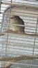 IMG-20160819-WA0016