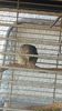 IMG-20160819-WA0020