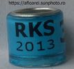 RKS 2013