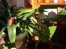 P1020618