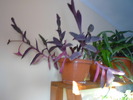 P1020620